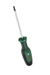 Bosch TORNAVİDA TORX TX 20 X 100 MM