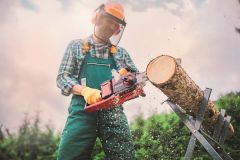 Einhell GE-LC 36/35 Li-Solo Akülü Ağaç Kesme Makinesi