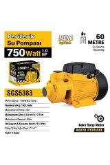 SGS5383 PERİFERİK SU POMPASI 750 WATT 1.0 HP BAKIR SARGI BAKIR PERVANE