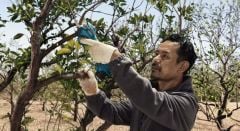 Bosch Pro Pruner Akülü Dal Budama Makası Akü Hariç