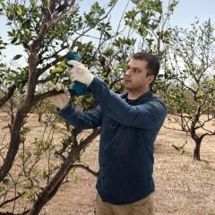 Bosch Pro Pruner Akülü Dal Budama Makası Akü Hariç