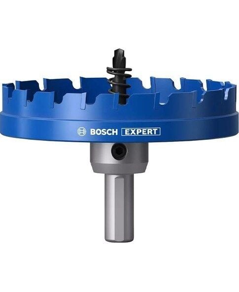 Bosch Expert 100 mm Elmaslı Inox Panç Adaptörlü 2608901449